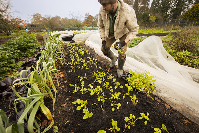 Full Circle Farm